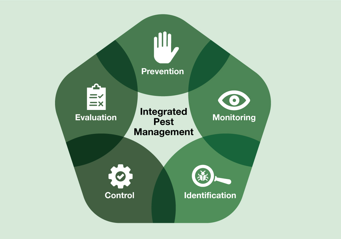 An illustration showing the interconnection of IPM steps including prevention, monitoring, identification, control, and evaluation.