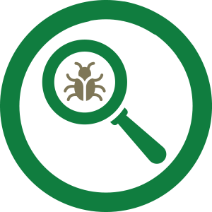 Bug And Magnifying Glass Icon