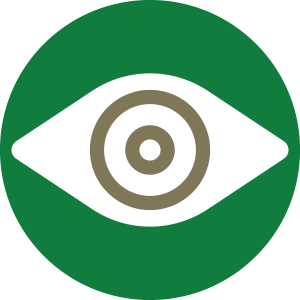 Eye icon
