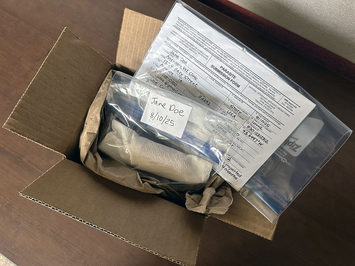 An open shipping box for submission of a pest, including the labeled sample, packing material, and necessary description form.