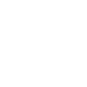 PDF icon