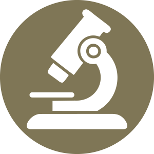 Microscope icon